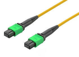 单模MPO-MPO光纤跳线24芯 OS2万兆单模40/100G/200G模块用跳纤