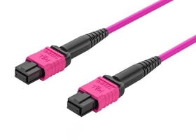 多模万兆MPO-MPO 24芯OM4光纤跳线低烟无卤外被 100G/200G模块用跳纤