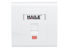 海乐（Haile）86型单口网络信息面板HT-8601 网线插座/电脑插座/网络信息插座 白色