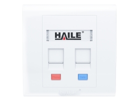 海乐（Haile）86型双口网络信息面板HT-8602 网线插座/电脑插座/网络信息插座 白色