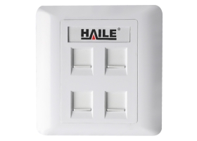 海乐（Haile）86型四口网络信息面板/网线插座/电脑插座/网络信息插座 白色HT-8604 十个装