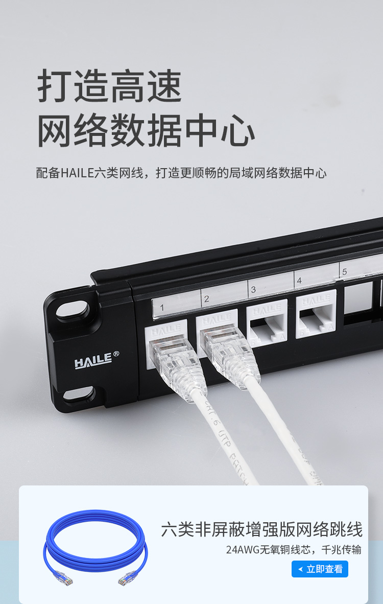 海乐（Haile）超六类24口配线架 1U机架式机柜CAT6A网络配线架数据中心专用镀金HT-2224A_http://www.haile-cn.com.cn_数据配线架_第2张