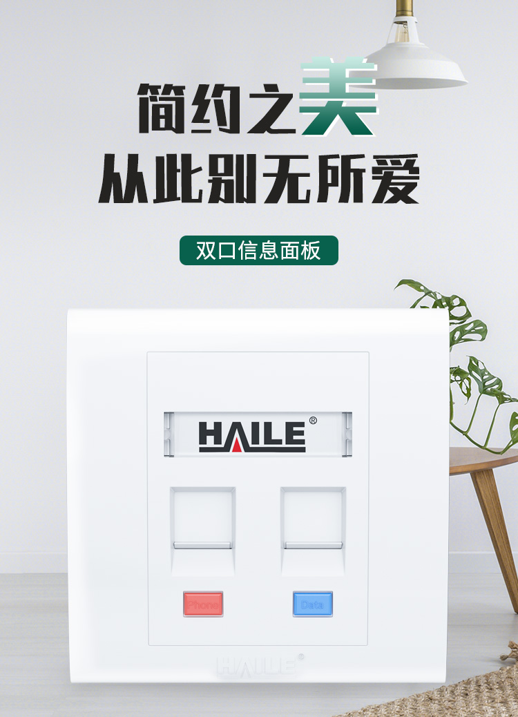 海乐（Haile）86型双口网络信息面板HT-8602 网线插座/电脑插座/网络信息插座 白色_http://www.haile-cn.com.cn_铜缆布线_第1张