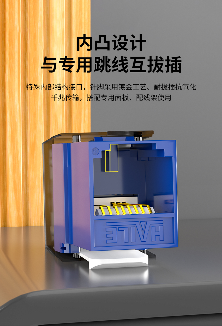 HAILE海乐内外网非屏蔽专网模块 蓝色HT-6-F_http://www.haile-cn.com.cn_专网非屏蔽产品_第2张